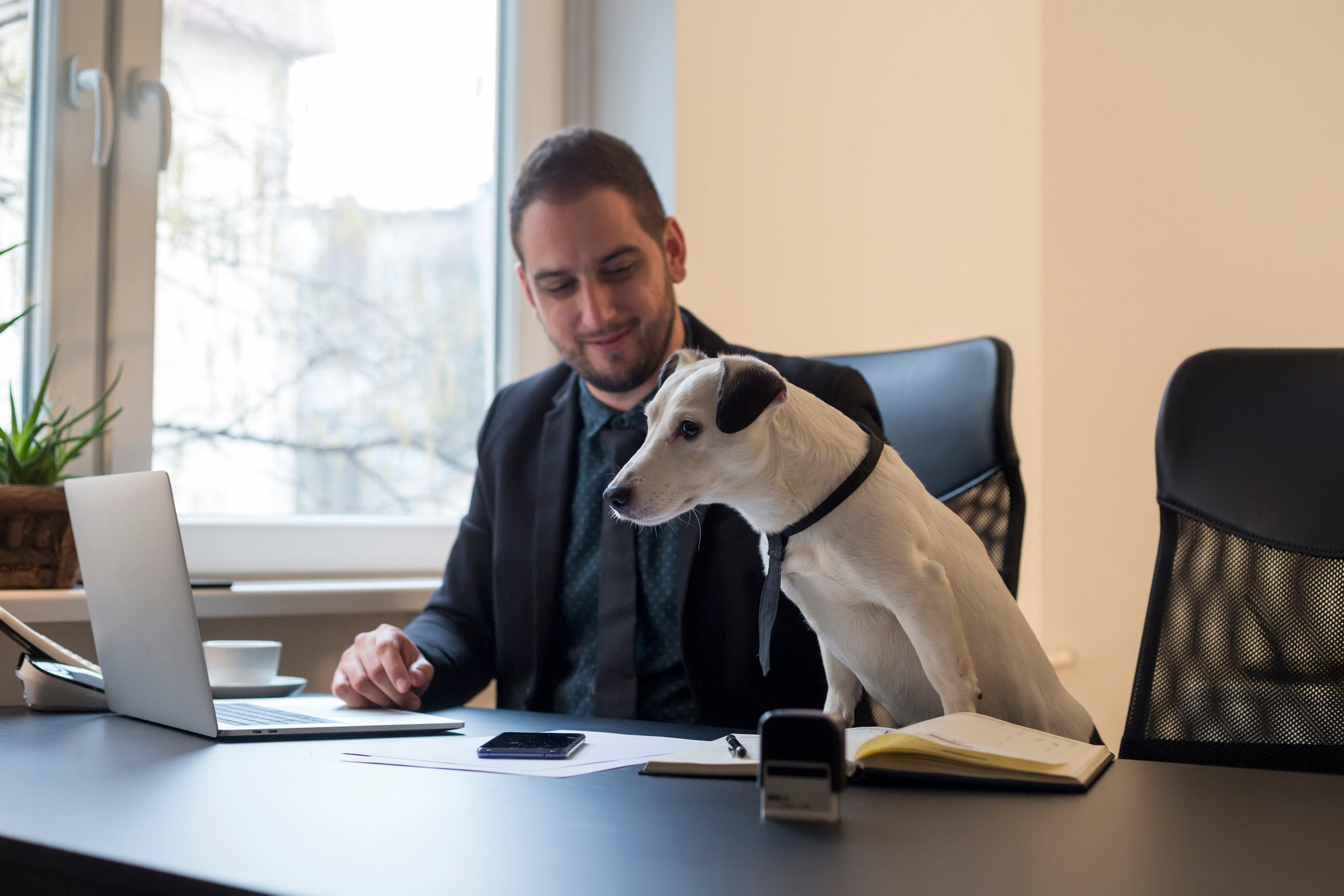 Hund im Büro - Go oder No Go? - Hund im Büro - Go oder No Go?