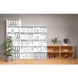 Aktenschränke 2 Ordnerreihen