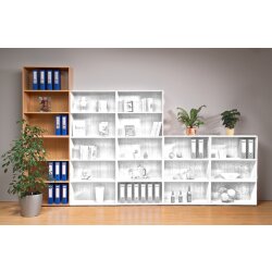 Aktenschränke 6 Ordnerreihen