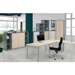 Aktenschränke Serie Profi