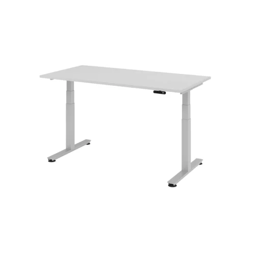 Elektrisch höhenverstellbarer Schreibtisch mit Memoryschalter 160 x 80 cm Grau/Silber