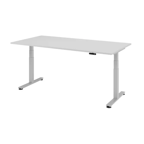 Elektrisch höhenverstellbarer Schreibtisch mit Memoryschalter 200x100 cm Grau/Silber