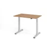 Elektrisch höhenverstellbarer Schreibtisch Eco 120x80 cm Nussbaum hell/Silber