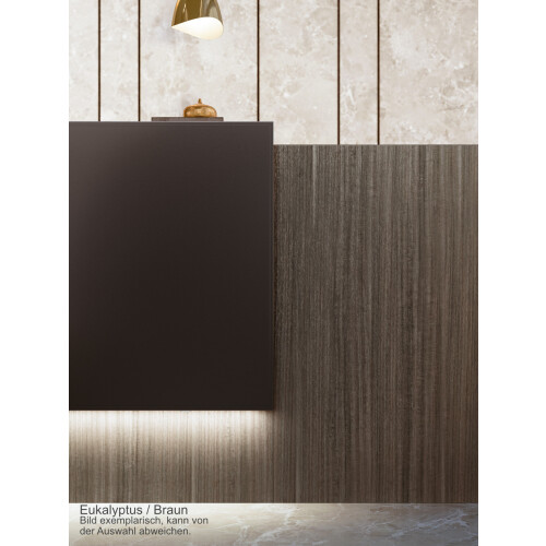 Empfangstheke Linear, Breite: 206 cm, Korpus: Ulme, Ablage: Eukalyptus  (Melamin)