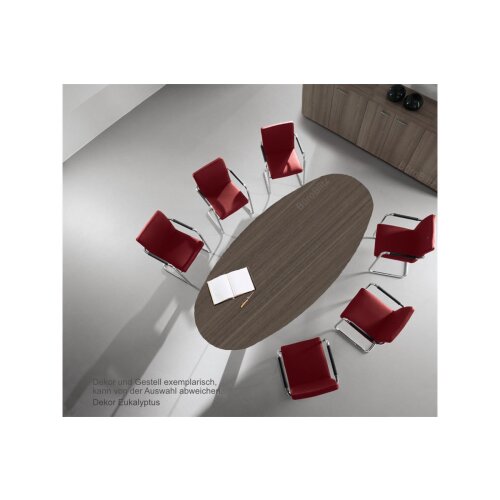 Besprechungstisch Oval, Breite: 200, Dekor:  Eukalyptus, Säulenfuss: alu silber