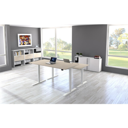Elektrisch höhenverstellbarer Schreibtisch Serie Flex, im Maß: 160 x 80 cm, Dekor: Lichtgrau, Gestell: Silber
