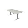 Elektrisch höhenverstellbarer Schreibtisch Serie Flex, im Maß: 120 x 80 cm, Dekor: Lichtgrau, Gestell: Silber