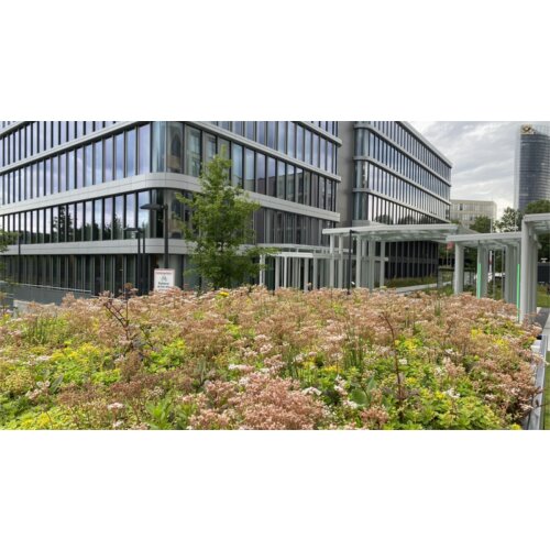 Dachbegrünung GREEN+ für alle Modelle K2