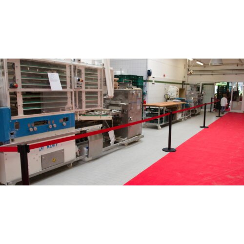 Personenleitsystem P-Line Famous Safety  aus Kunststoff, Gurtlänge 4m