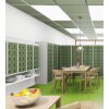 Kleinfachschrank 20 Fächer Korpus Lichtgrau RAL 7035 Türen Lichtgrau RAL 7035 Vollblechtüren