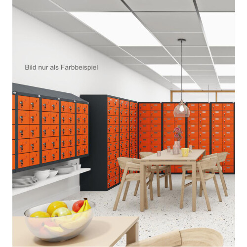 Kleinfachschrank 20 Fächer Korpus Lichtgrau RAL 7035 Türen Enzianblau RAL 5010 Türen mit Plexiglaseinsatz