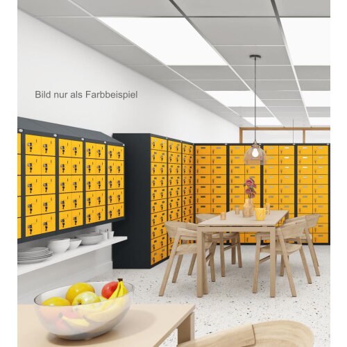 Kleinfachschrank 25 Fächer Korpus Weiss RAL 9010 Türen Reinorange RAL 2004 Türen mit Plexiglaseinsatz