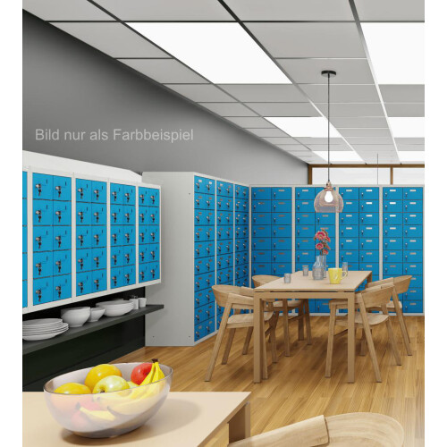 Kleinfachschrank 25 Fächer Korpus Weiss RAL 9010 Türen Reinorange RAL 2004 Türen mit Plexiglaseinsatz