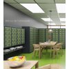 Kleinfachschrank 25 Fächer Korpus Weiss RAL 9010 Türen Reinorange RAL 2004 Türen mit Plexiglaseinsatz