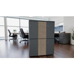 Schliessfachschrank Holz mit Einwurfschlitz, Abteilbreite...