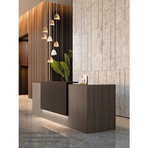 Empfangstheke Linear, Breite: 206 cm, Korpus: Weiss, Ablage: beige RAL 1019 lackiert