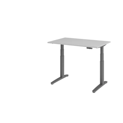 Schreibtisch elektrisch höhenverstellbar Serie DX 120x80 cm