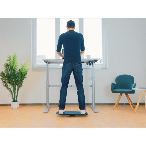 Balance Board in Farbe Wenge