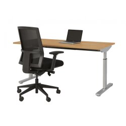 Schreibtisch Serie Quick, Dekor  Buche, Gestell Silber,...