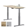 Schreibtisch elektrisch höhenverstellbar Serie EHT3, Dekor Eiche Rustikal, Gestell Silber, Maß: 65-130 h. x 100 t. x 200 br. cm