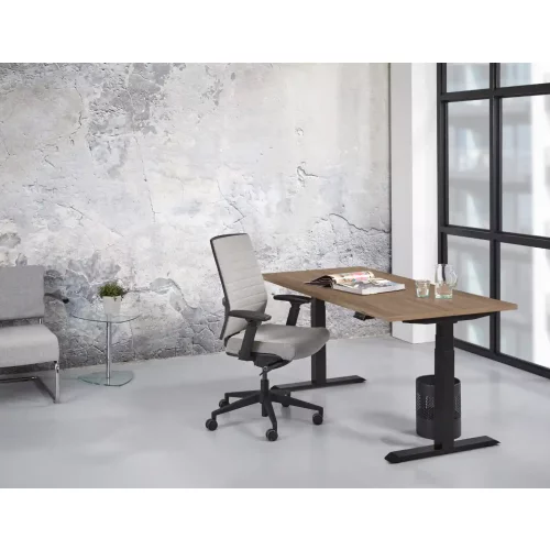 Schreibtisch elektrisch höhenverstellbar Serie EHT3, Dekor Eiche Rustikal, Gestell Anthrazit, Maß: 65-130 h. x 100 t. x 200 br. cm